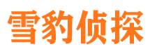 高县侦探调查公司